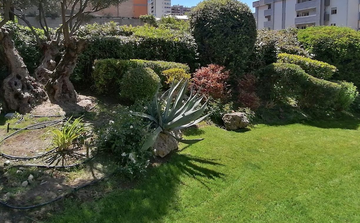 gestione manutenzione giardini a contratto