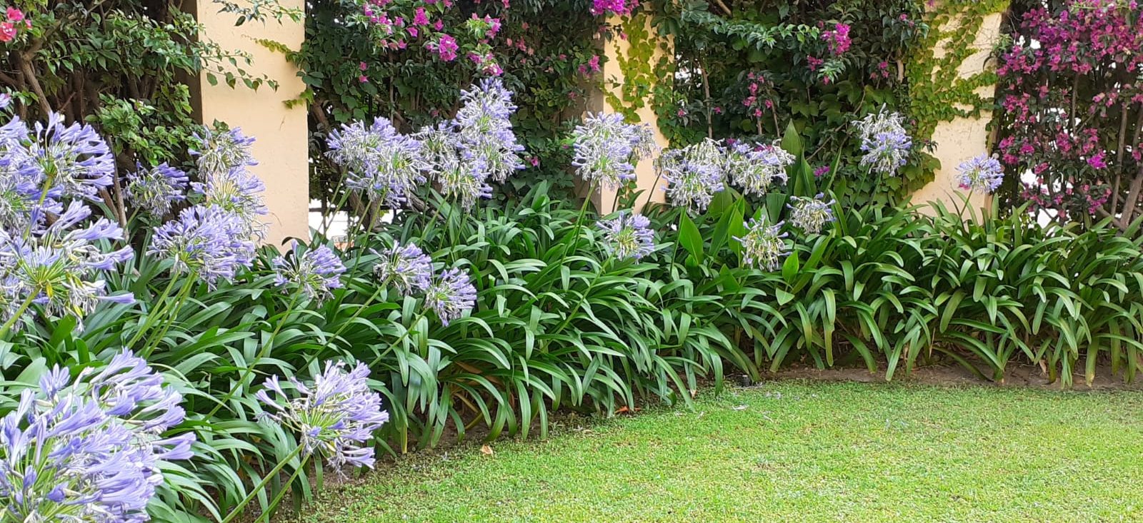 Giardino Cagliari